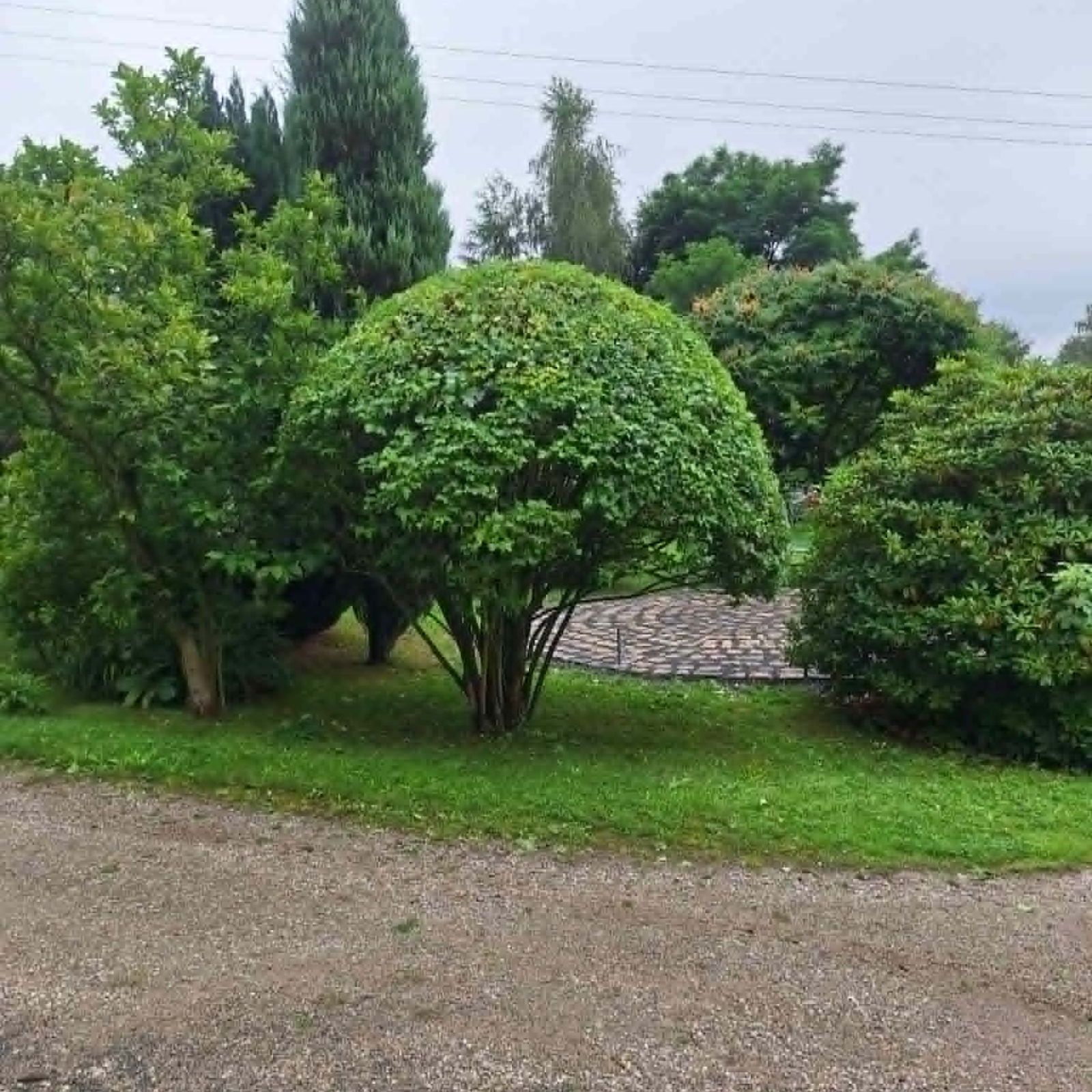 Realizacje ogrodów Kowary efekt po