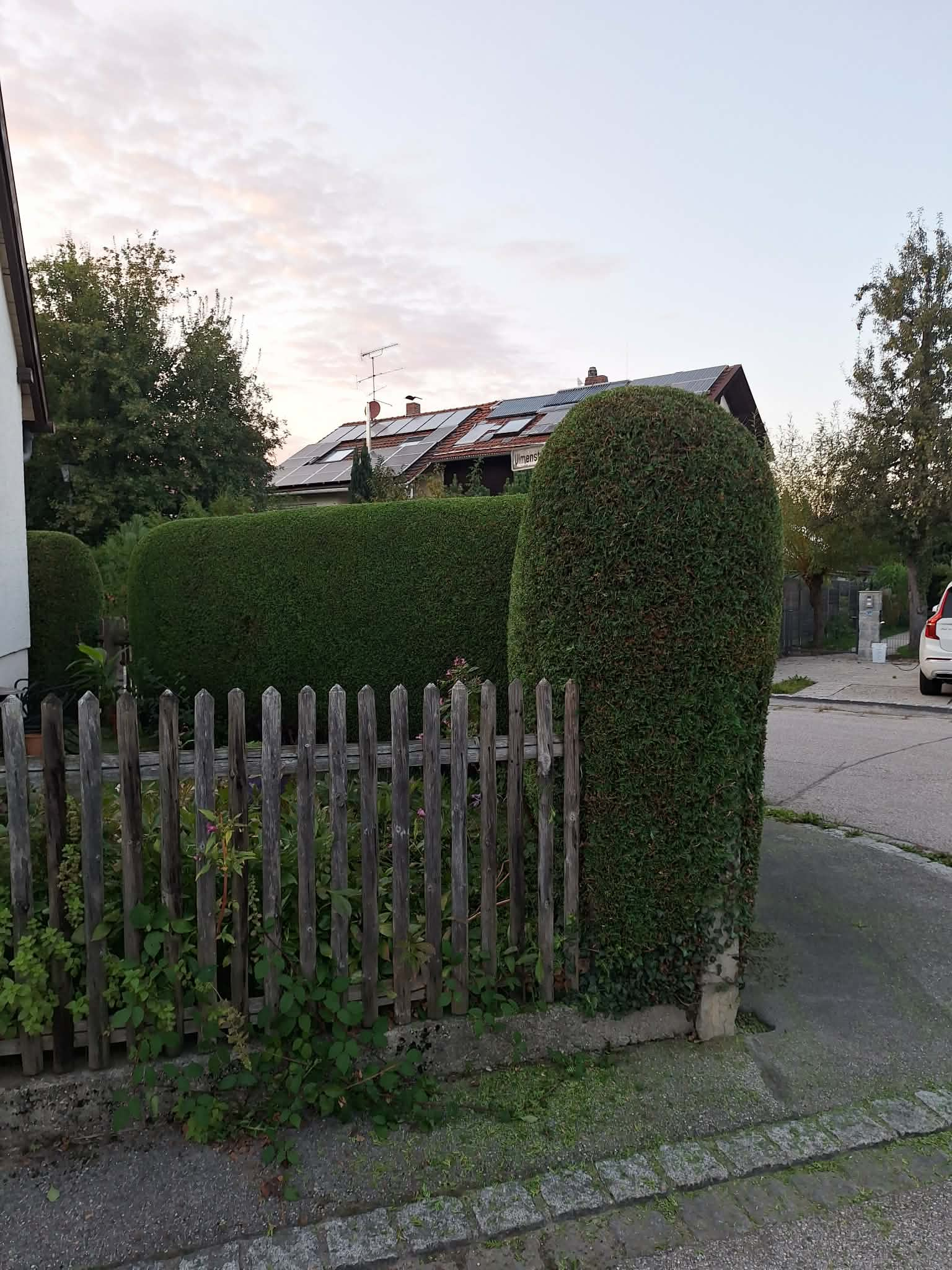 Przycinanie żywopłotu Jelenia Góra