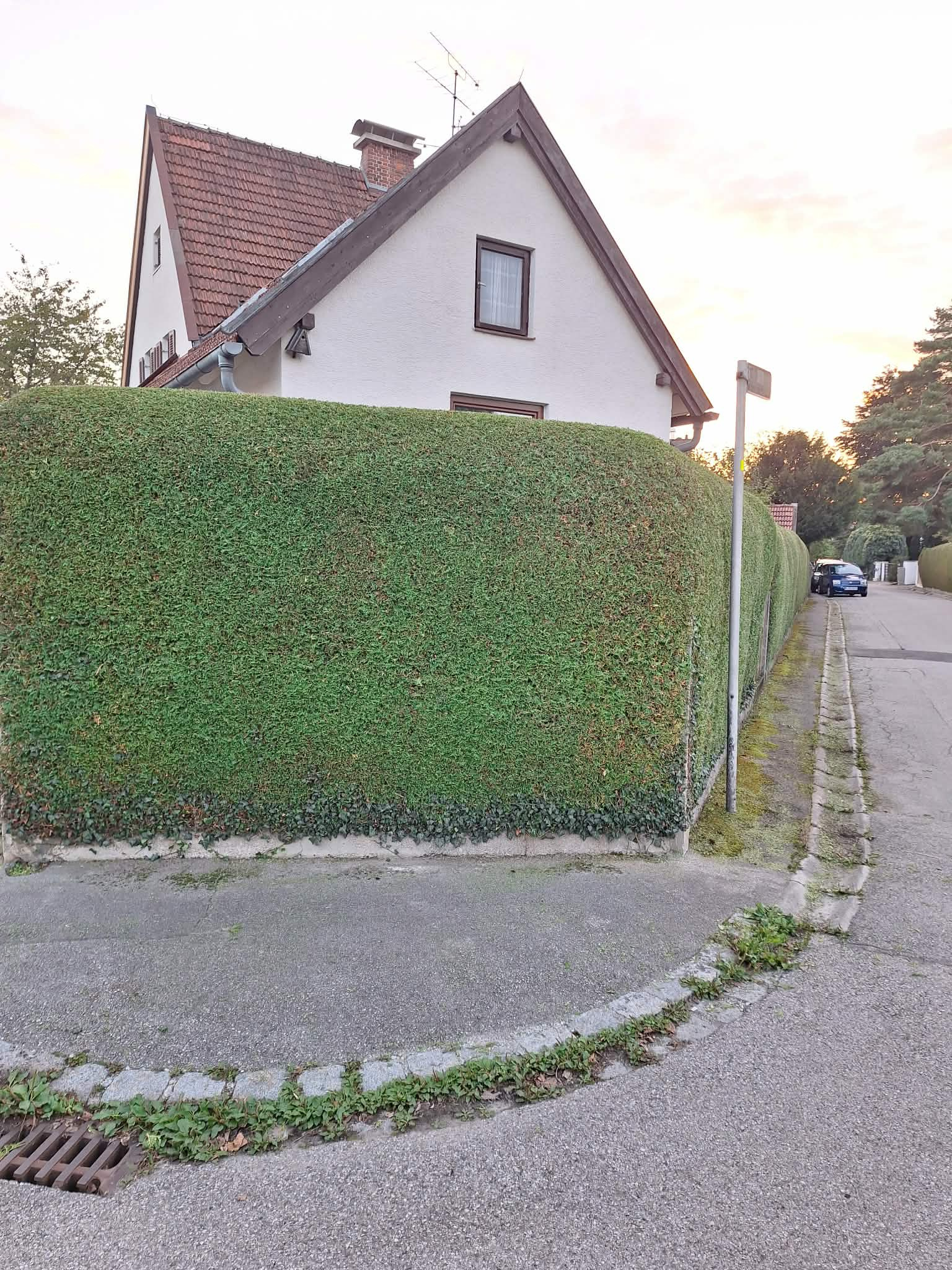 Przycinanie żywopłotu Wałbrzych